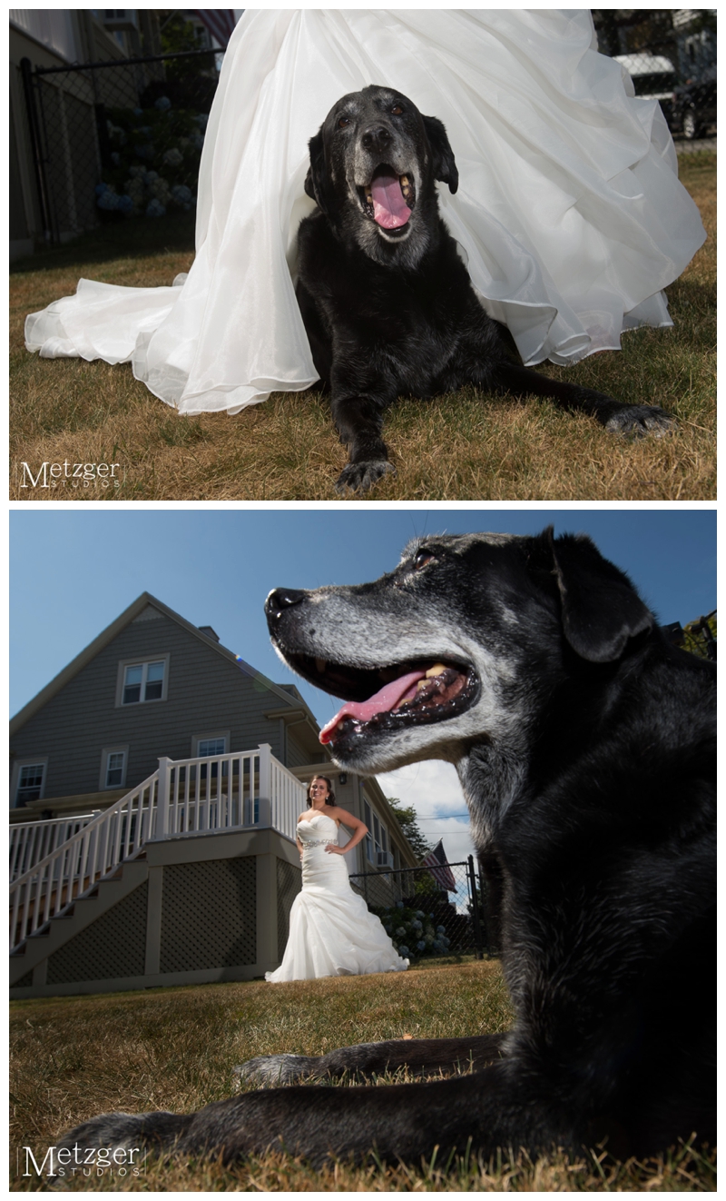 wedding-photography-elks-bassrocks011
